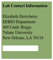 Lab Contact Information

Elizabeth Derryberry
EEBIO Department
400 Lindy Boggs
Tulane University
New Orleans, LA 70118

ederrybe@tulane.edu


